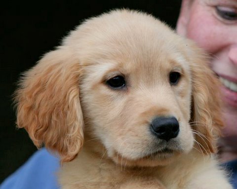 Judy, Miranda 2_8_09